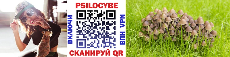 ОМГ ОМГ вход  где купить   Починок  Галлюциногенные грибы Psilocybe 